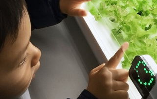日本研发迷你蔬菜工厂 在家自动种植水栽蔬菜