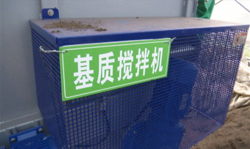 平泉街道协议村蔬菜机械化育苗试验项目 推动我市蔬菜规模化工厂化种植新跨越