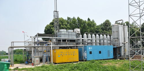擦亮金字招牌 四川大邑试点绿色种养循环模式谱写农产品质升量高新篇章